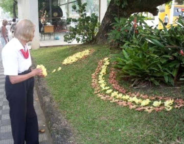 Mariazinha das Flores