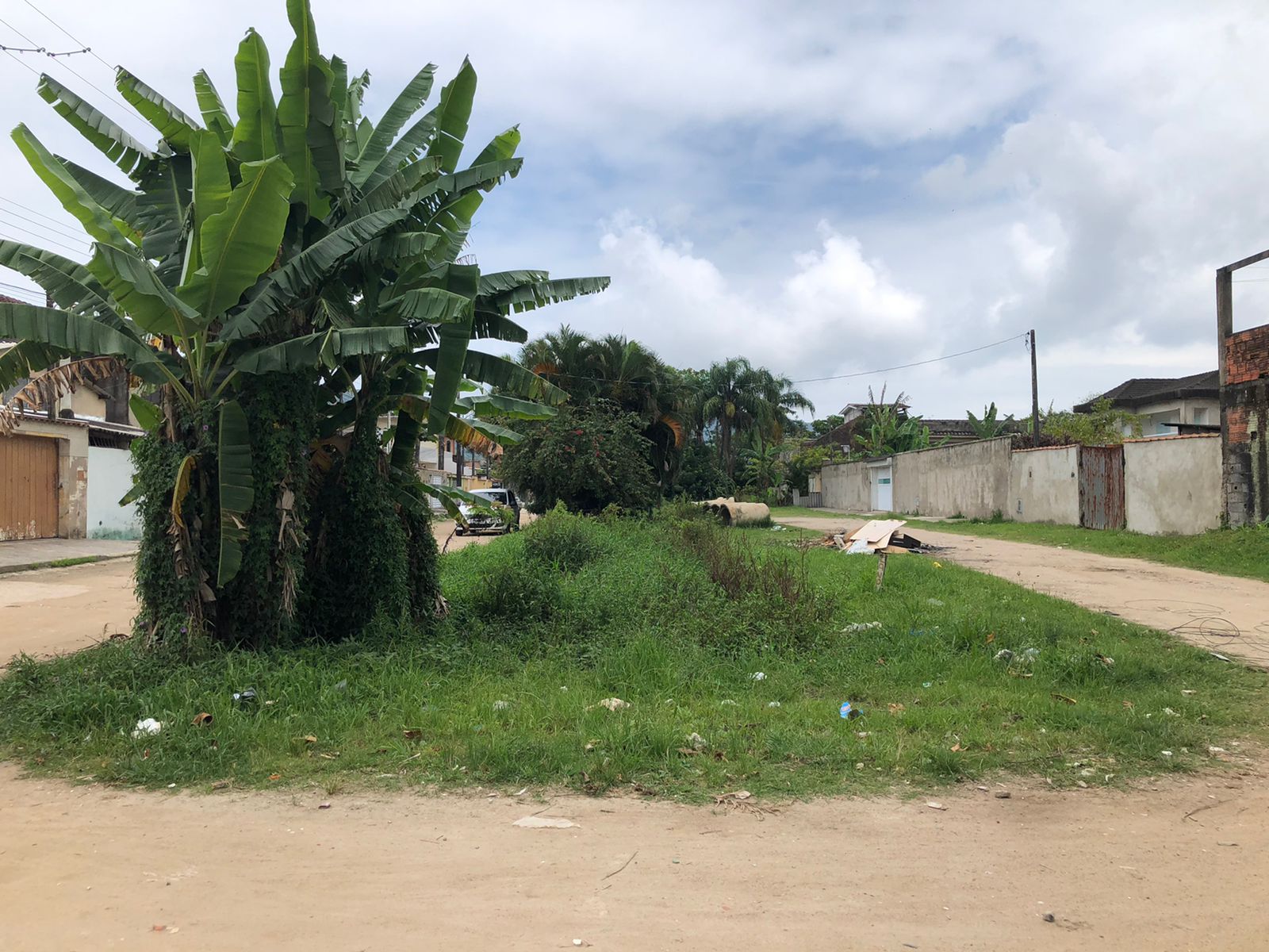 Esgoto a céu aberto coberto pelo mato